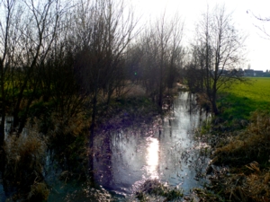 Langwiesengraben sdlich Eppertshausen im Frhjahr 2007
